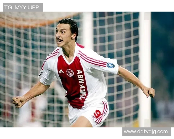 卡伊布足球明星的辉煌历程与未来展望解析