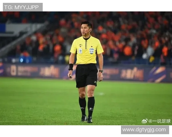 足球明星对马宁的高度评价与职业精神的深刻分析 足球明星对马宁的高度评价与职业精神的深刻分析